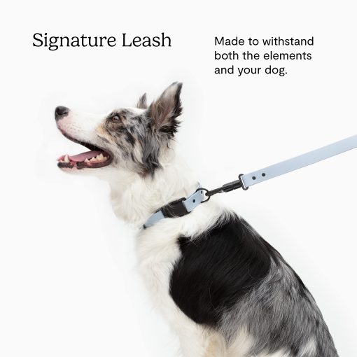 Correa para perros Fable Signature - Resistente al agua, duradera, ligera - Ajustador de correa para la muneca permite pasear al perro sin manos - Perros grandes a pequenos - Clip de seguridad - Hecho en EE. UU. - Negro L-XL - Imagen 2