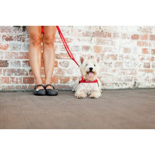 Correa de Entrenamiento para Perros EzyDog Soft Trainer con Mango de Control de Trafico - Costuras Reflectantes para Seguridad Nocturna y Resistencia y Comodidad Superior para Entrenar Perros Grandes a Medianos (1.80 m, Denim) - Imagen 2