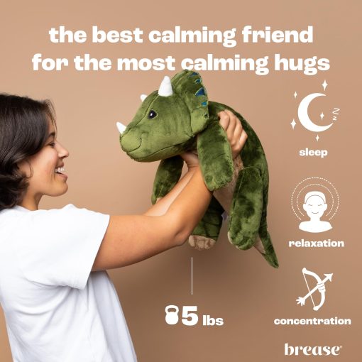 Peluche Dinosaurio Ponderado de 5 lb sin Aroma - Grande, Tierno Juguete de Peluche Dino para Abrazos Suaves y Momentos de Paz, Companero Abrazable para Ninos y Adultos, Peluche Pesado Ideal para Todas las Edades - Imagen 2