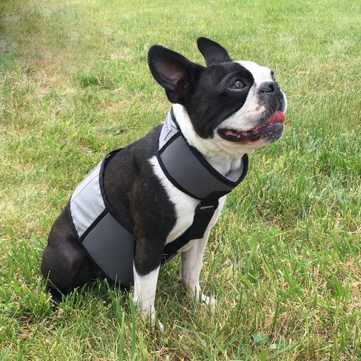 Chaleco y Collar de Enfriamiento para Perros CoolerDog - Chaleco de Hielo para Perros Pequenos (18" a 22" de Circunferencia) - Imagen 6