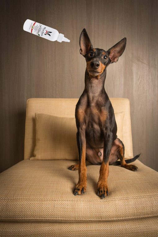 Limpiador instantaneo de oidos para mascotas Warren London - Gotas para oidos de perro con Aloe para prevenir irritacion | Hecho en EE. UU. | 12oz - Imagen 5