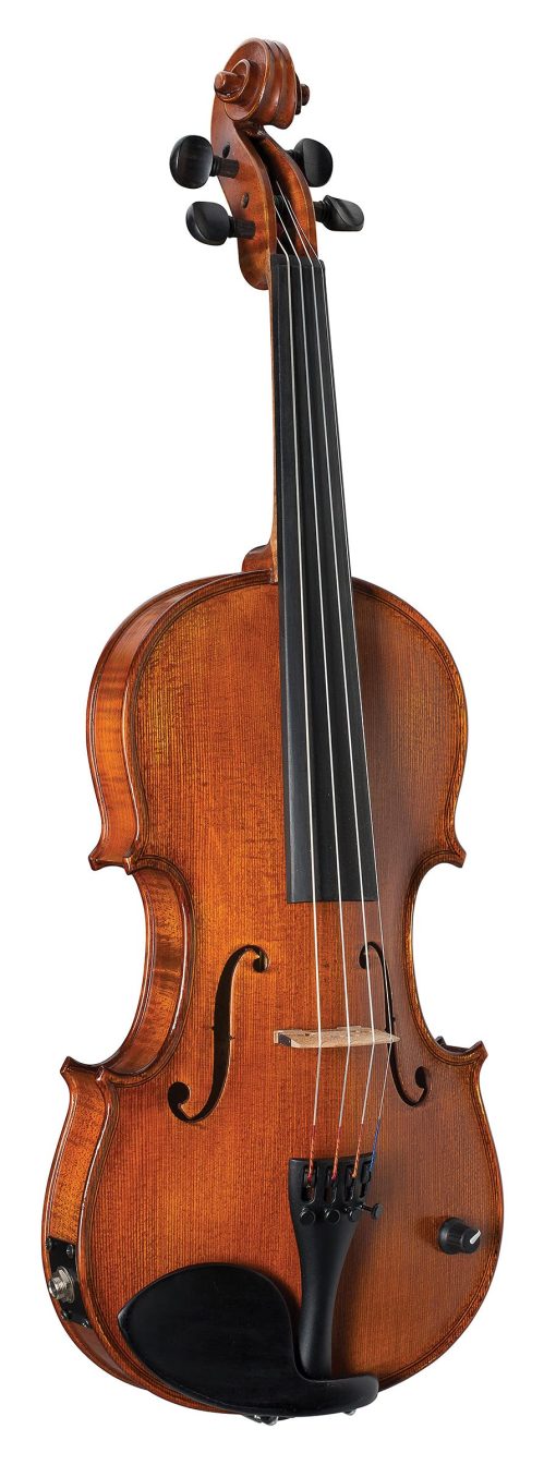 Violin Electrico de 4 Cuerdas Barcus Berry, Natural (BB100-EL)