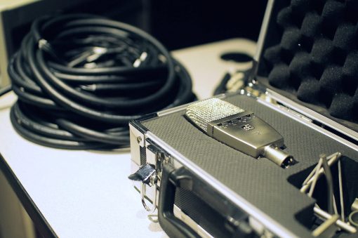 Microfono de Gran Diafragma con Patron Multiple T2 de sE Electronics con Capsula de Titanio - Imagen 2