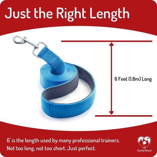 Correa para Perros para Medianos, Grandes y Pequenos - Correas de 6 Pies para Entrenamiento y Paseos Diarios - Tamanos Duraderos en Ligeros y Resistentes para Razas Pequenas y Grandes (1 Capa, Azul) - Imagen 4