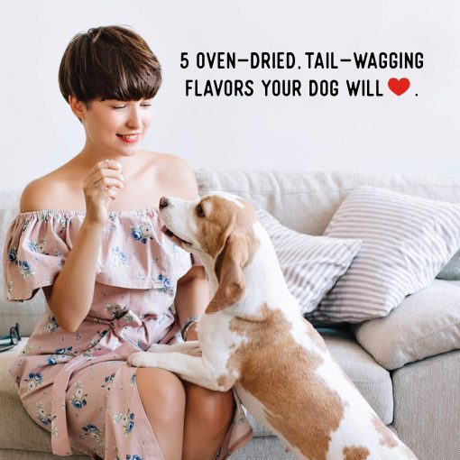 Farmland Traditions Filler Free Dogs Love Chicken Premium Jerky Treats for Dogs, 2 lbs. Total (Paquete de 2 - 1 lb. cada uno) - Imagen 7