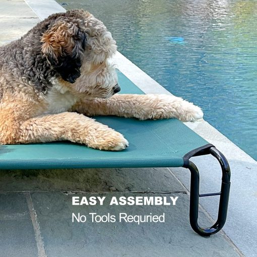 Cama Elevada para Perros BestVida, 35 x 28 x 8 pulgadas (Pequena, Verde) - Imagen 5
