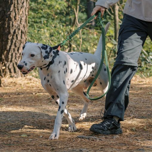 Correa de cuero para perros de 6 pies Super Ligera de Grado Militar Resistente para Perros Grandes, Medianos y Pequenos Entrenamiento y Paseo (Verde, 3/5in) - Imagen 7