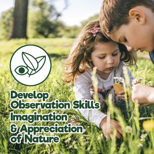 Juguetes Taksa Locomo Friends III Figuras de Juego al Aire Libre Waldorf Educativas, Juguetes de Animales de Madera Montessori para Ninos de 3 4 5 6 7+, Aprendizaje Creativo y Abierto, Juguetes Ecologicos de la Naturaleza, Regalos (Set de 5) - Imagen 3