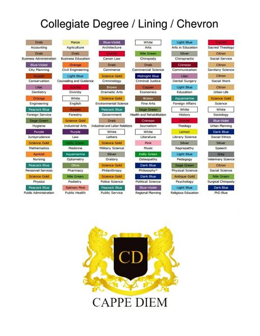Cappe Diem Capucha de Graduacion Deluxe para Maestria (Enfermeria, Trabajo Social, Teologia, MBA, M.Ed, M.Sc.) Salmon Pavone (Salmon-Rojo/Oro) - Imagen 6