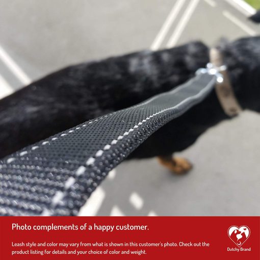 Correa para Perros para Medianos, Grandes y Pequenos - Correas de 6 Pies para Entrenamiento y Paseos Diarios - Tamanos Duraderos en Ligeros y Resistentes para Razas Pequenas y Grandes (1 Capa, Azul) - Imagen 7