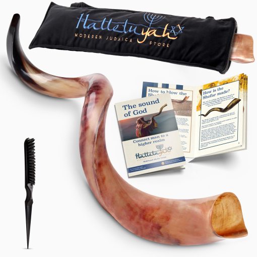 Shofar Kudu Original Kosher HalleluYAH Totalmente Pulido 35"-39" | De Israel