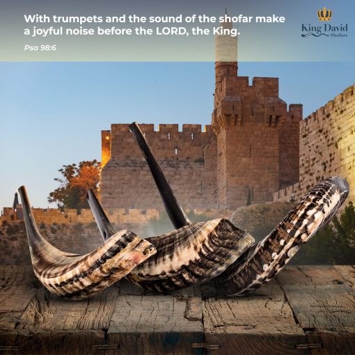 Shofar Horn Instrument - RAM Shofar Angels Instrumento Musical - Regalo de Cuerno de Israel - Shofar Judio y Evangelico Kosher - Instrumento Sagrado Tradicional para Ceremonias Religiosas (20"-22") - Imagen 6