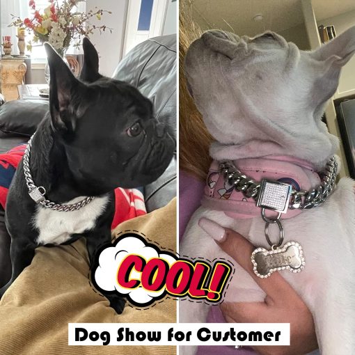 Collar de Cadena para Perro con Cierre de Circonia, Collar de 10MM de Metal Plateado de Lujo para Perro Bling Gato Collar Pequeno (10MM, 12") - Imagen 7
