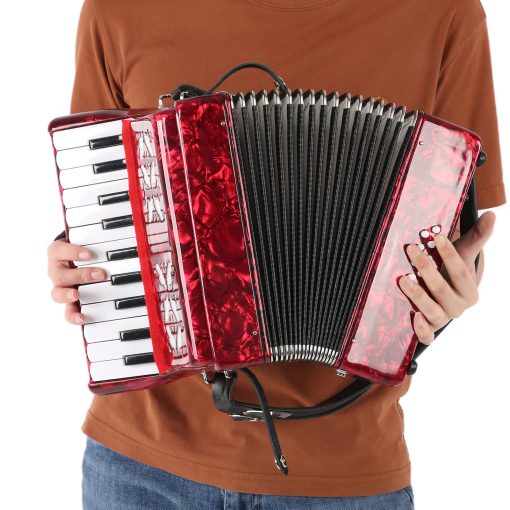 Acordeon de Piano BTER, 8 Bajos 22 Teclas Exquisitamente Diseñado con Paño de Limpieza y Correa, Instrumento Musical Sensible de Botones Regalo para Niños Principiantes Adultos - Imagen 2