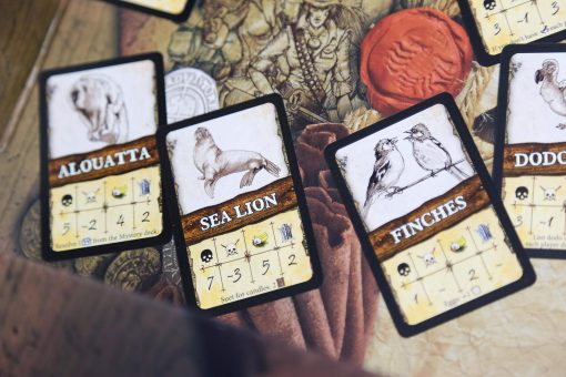 Cofre del Tesoro de Robinson Crusoe - Imagen 5