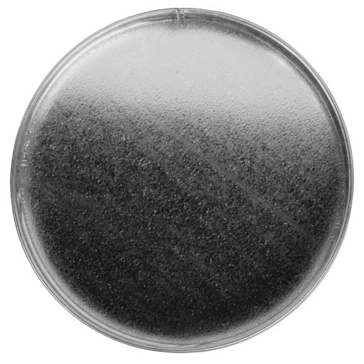 Capuchon de Extremo de Conducto de Acero Galvanizado de 10" para Ventilacion - Capuchon para Secadora - Tapon Metalico Redondo - Conexion de Conducto Metalico - Capucha de Tiro Reutilizable - Imagen 5