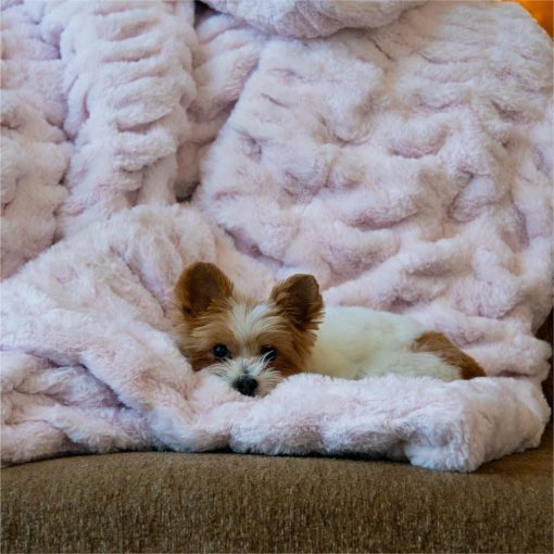 Manta de Piel Sintetica Disenos Minky - Extra Suave, Esponjosa y Peluda para Sofa, Cama o Decoracion del Hogar - Perfecta para Adultos, Adolescentes y Ninos (Chic | Rosa Flores) - Imagen 5