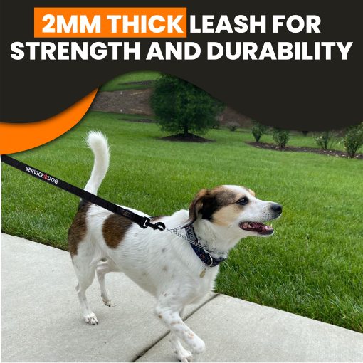 Correa para Perros de Servicio Tacticollar, Resistente Correa de Nylon, Mango Acolchado de Neopreno Suave, Bordado (Longitud de 4 pies x Ancho de 1 pulgada) - Imagen 6
