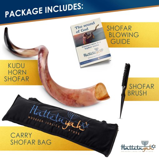 Shofar Kudu Original Kosher HalleluYAH Totalmente Pulido 35"-39" | De Israel - Imagen 6