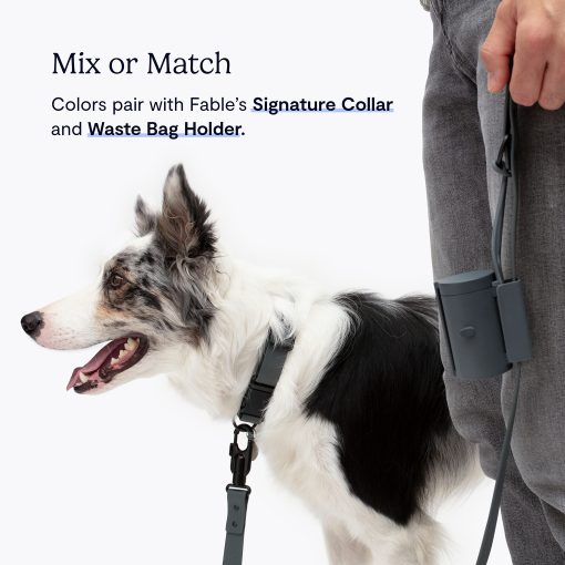 Correa para perros Fable Signature - Resistente al agua, duradera, ligera - Ajustador de correa para la muneca permite pasear al perro sin manos - Perros grandes a pequenos - Clip de seguridad - Hecho en EE. UU. - Negro L-XL - Imagen 6