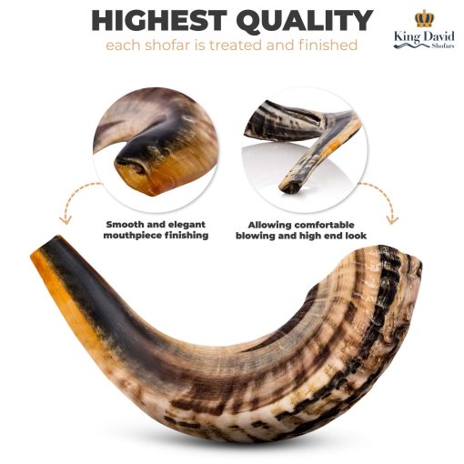 Shofar Horn Instrument - RAM Shofar Angels Instrumento Musical - Regalo de Cuerno de Israel - Shofar Judio y Evangelico Kosher - Instrumento Sagrado Tradicional para Ceremonias Religiosas (20"-22") - Imagen 3