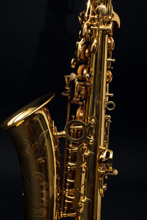 Saxofon Herche Superior Alto Saxophone X3 | Instrumentos Profesionales para Todos los Niveles | Llave de Mi Mayor | Aprobado por Educadores & Plan de Servicio - Imagen 5