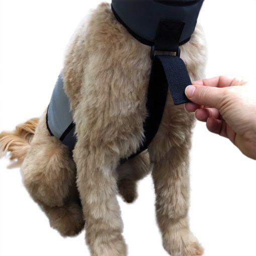 Chaleco y Collar de Enfriamiento para Perros CoolerDog - Chaleco de Hielo para Perros Pequenos (18" a 22" de Circunferencia) - Imagen 3
