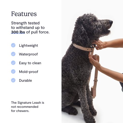 Correa para perros Fable Signature - Resistente al agua, duradera, ligera - Ajustador de correa para la muneca permite pasear al perro sin manos - Perros grandes a pequenos - Clip de seguridad - Hecho en EE. UU. - Negro L-XL - Imagen 4