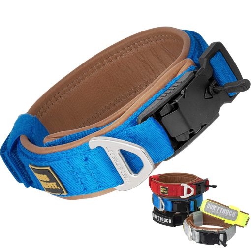 Collar de comodidad, Collar acolchado de piel de vaca suave para perros de todas las razas, Parche reflectante, Hebilla metalica para perros grandes con asa de control facil (S, M, L) (XXS, Azul)