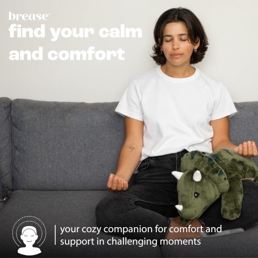 Peluche Dinosaurio Ponderado de 5 lb sin Aroma - Grande, Tierno Juguete de Peluche Dino para Abrazos Suaves y Momentos de Paz, Companero Abrazable para Ninos y Adultos, Peluche Pesado Ideal para Todas las Edades - Imagen 6