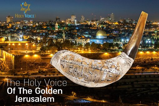 Shofar de Cuerno Plateado de Plata Santa Voz de Israel - Cuerno de 24"-26" de Jerusalen Plateado con Soporte de Cuerno, Bolsa de Transporte, Cepillo, Spray Anti-Olor - Hecho en Israel - Imagen 6