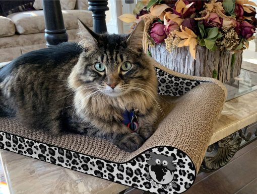 Rascador y Salon para Gatos Purrfect World - Leopardo de las Nieves Pack de 2 - Imagen 2