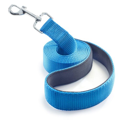Correa para Perros para Medianos, Grandes y Pequenos - Correas de 6 Pies para Entrenamiento y Paseos Diarios - Tamanos Duraderos en Ligeros y Resistentes para Razas Pequenas y Grandes (1 Capa, Azul)