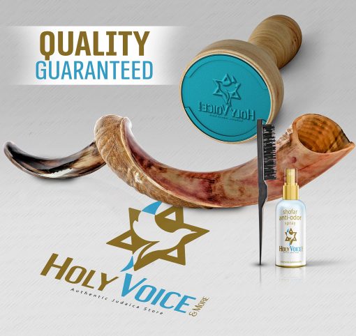 Shofar de Kudu Kosher de Israel - Tradicional Cuerno Yemeni Semi Pulido que Incluye Bolsa de Transporte, Cepillo, Spray Antiolores y Guia de Soplido - Instrumento Musical Sagrado Facil de Tocar (41"-42") - Imagen 6