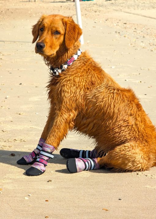 Bark Brite Botas Protectoras de Neopreno Ligero para Patas de Perro Disenadas para Comodidad y Transpirabilidad en 5 Tamanos (Lavanda Lg) - Imagen 2