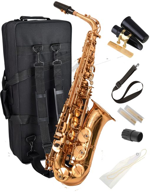 Saxofon Herche Superior Alto Saxophone X3 | Instrumentos Profesionales para Todos los Niveles | Llave de Mi Mayor | Aprobado por Educadores & Plan de Servicio