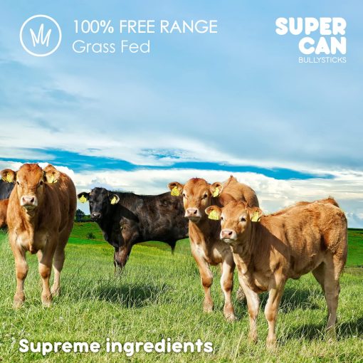 Barras de Carne de Res Supercan para Perros 6 "(40 unidades) - 100% Natural Criada en Granja de Carne de Res. Golosinas para Perros de Ganado de Pastoreo Libre de OMG - Imagen 6
