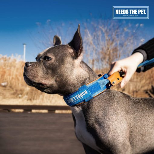 Collar de comodidad, Collar acolchado de piel de vaca suave para perros de todas las razas, Parche reflectante, Hebilla metalica para perros grandes con asa de control facil (S, M, L) (XXS, Azul) - Imagen 7