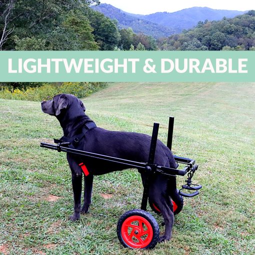 Silla de Ruedas para Perros Best Friend Mobility Pro Series para Patas Traseras - Fibra Ultraligera, Brazos Laterales Ajustables para Todo Terreno, Llantas de Espuma para Todos los Perros (Tamano Mediano) - Imagen 2