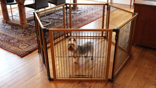 Puerta para Mascotas Cardinal Gates Perfect Fit