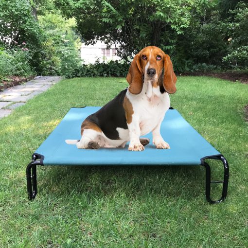 Cama Elevada para Perros BestVida, 35 x 28 x 8 pulgadas (Pequena, Verde) - Imagen 3