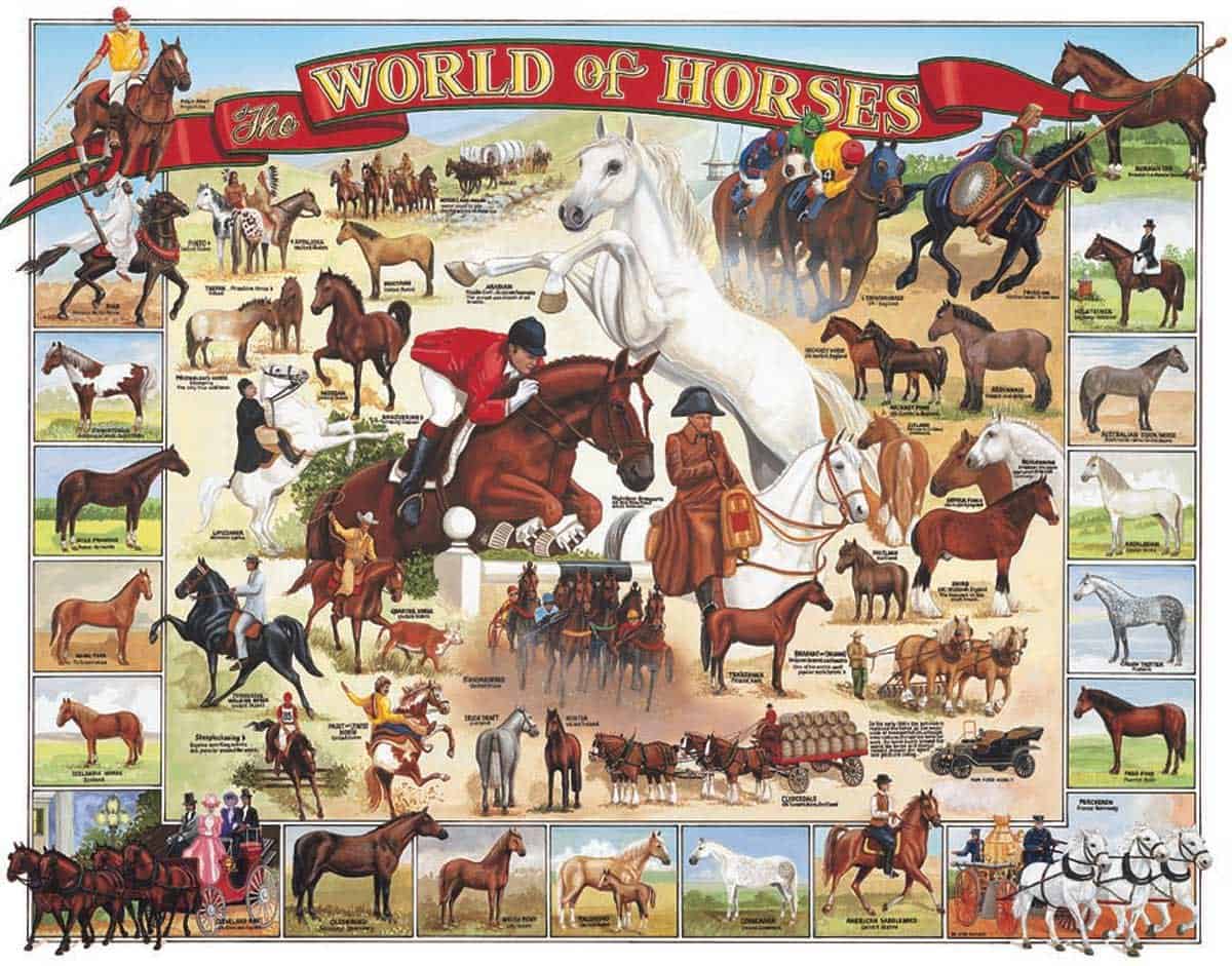 Rompecabezas White Mountain Puzzles World of Horses