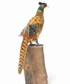 Juguete de Peluche HANSA Faisán, Pájaro de 12 pulgadas de