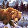 Rompecabezas de 1000 piezas de Oso Grizzly