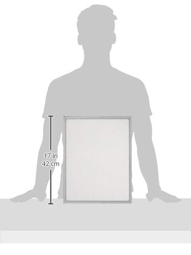 Honeywell 50000293-002 - Filtro Post, 16" x 12.5" para - Imagen 4