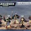 Escuadrón de Veteranos de la Compañía Dark Angels de Games