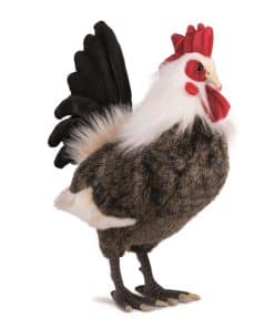 Hansa Gallo de Peluche, Grande