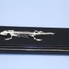 Esqueleto de Lagarto Real C&A Scientific - Premiere 51007