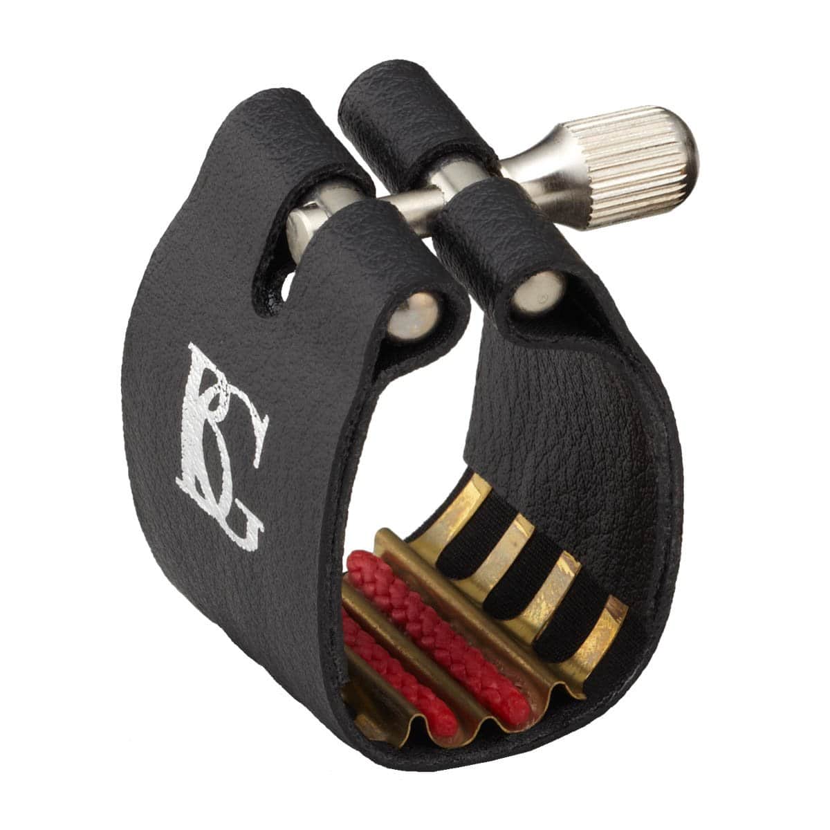 Funda de Acordeón (BG L9R) - Accesorio para Acordeón