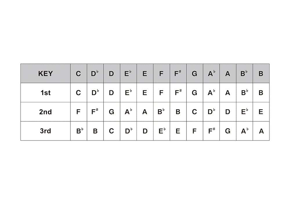 Suzuki HA-20-LF Promaster Hammond Armónica Diatónica - Imagen 4